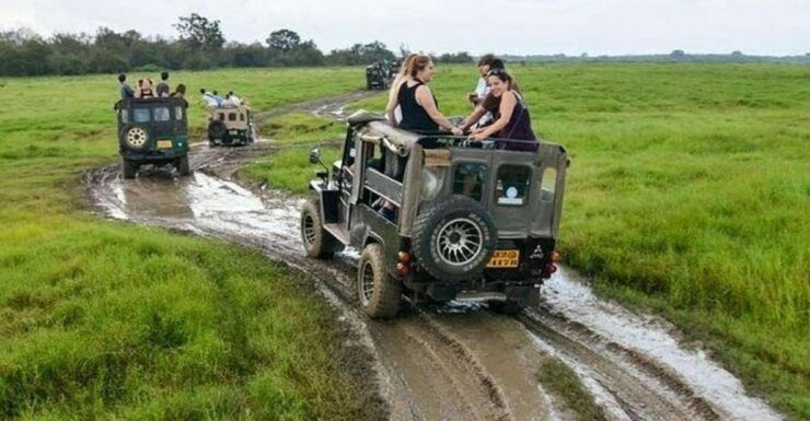 Wilpattu National Park With Safari Jeep & Entrance Ticket - Activity Details