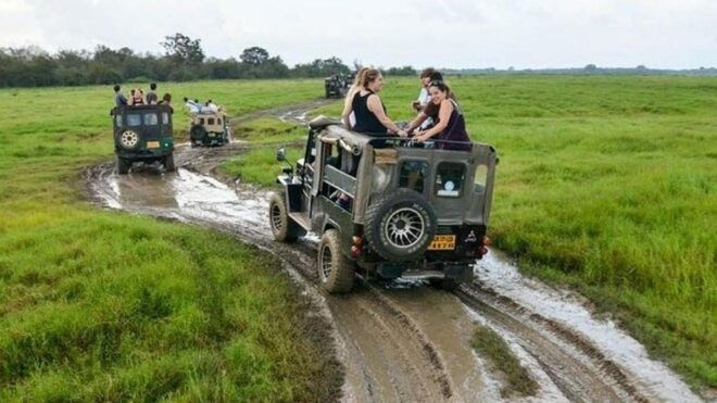 Wilpattu National Park With Safari Jeep & Entrance Ticket - Booking Information