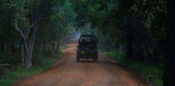 Wilpattu National Park With Safari Jeep & Entrance Ticket - Common Questions