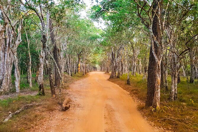 Wilpattu Wild Safari Day Trip - Private & All Inclusive - FAQs