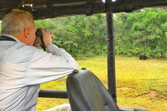 Wilpattu Wild Safari Day Trip - Private & All Inclusive - Good To Know