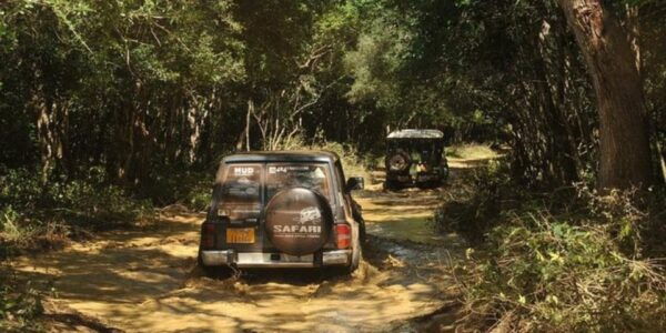 Wilpattu Wildlife Adventure:Day Safari With Picnic Meals - The Sum Up