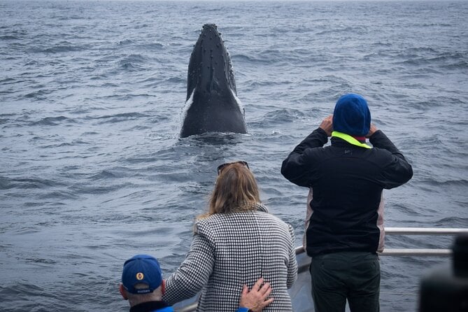 Wilsons Prom Whale Cruise - Additional Information