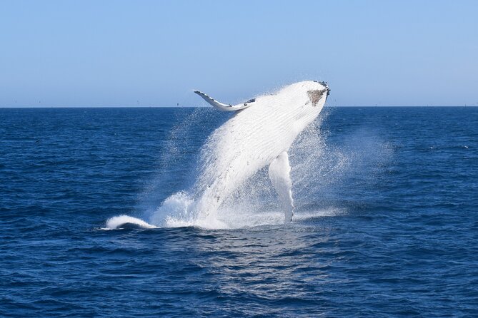 Wilsons Prom Whale Cruise - Booking and Refund Policy