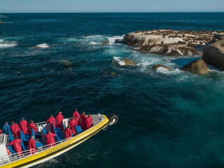 Wilsons Promontory: 2.5-Hour Wilderness Cruise - Activity Details