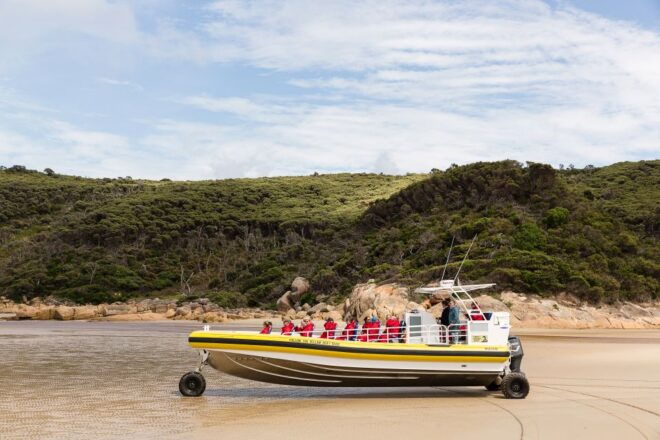 Wilsons Promontory: 2.5-Hour Wilderness Cruise - Scenic Highlights