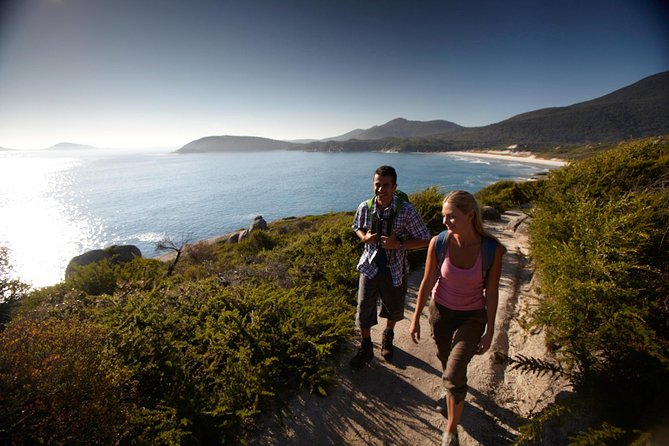 Wilsons Promontory Day Trip From Melbourne - Weather and Animal Sightings