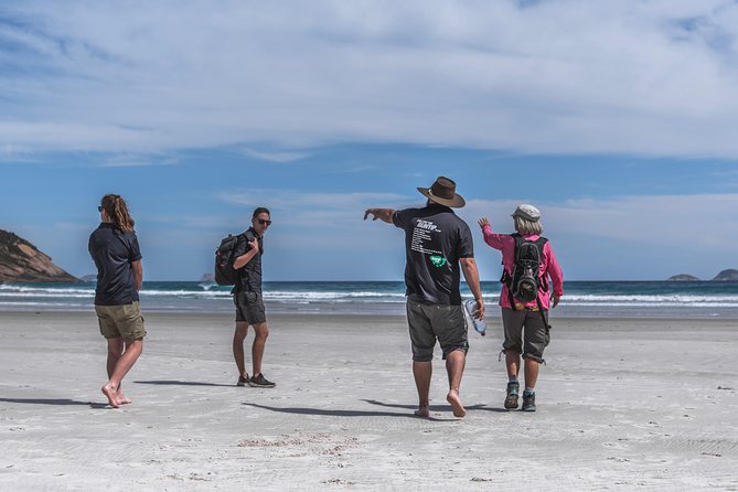 Wilsons Promontory Day Trip From Melbourne - Pickup and Transportation
