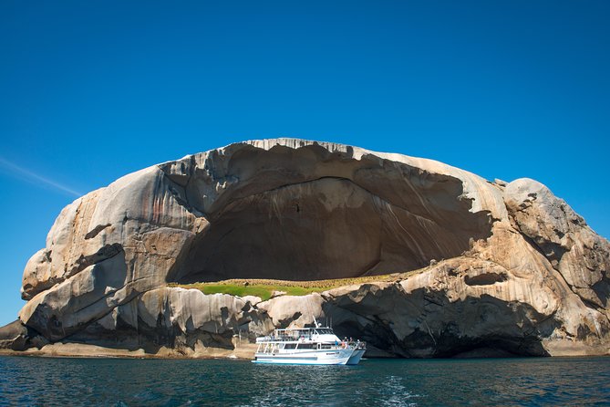 Wilsons Promontory Full Day Cruise - Wildlife Spotting