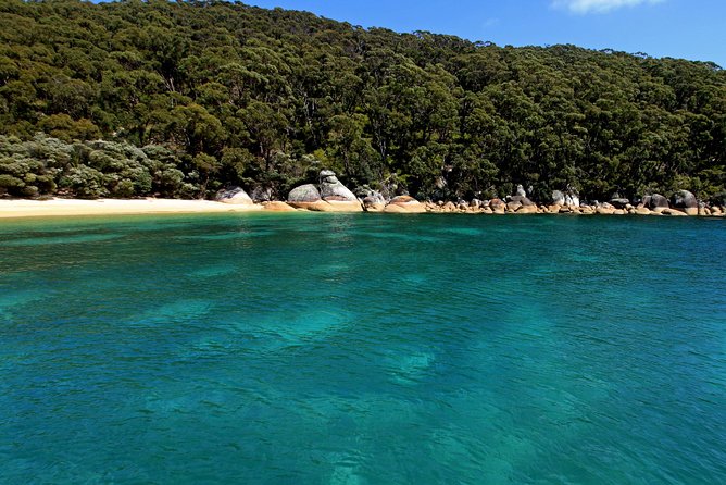 Wilsons Promontory Full Day Cruise - Landmark Sightseeing