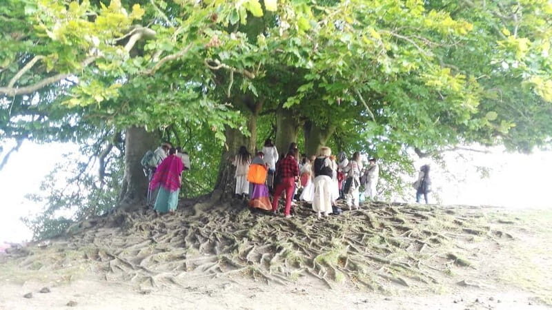 Wiltshire: Mystical and Dragons Guided Driving Tour - Who Should Book This Tour?