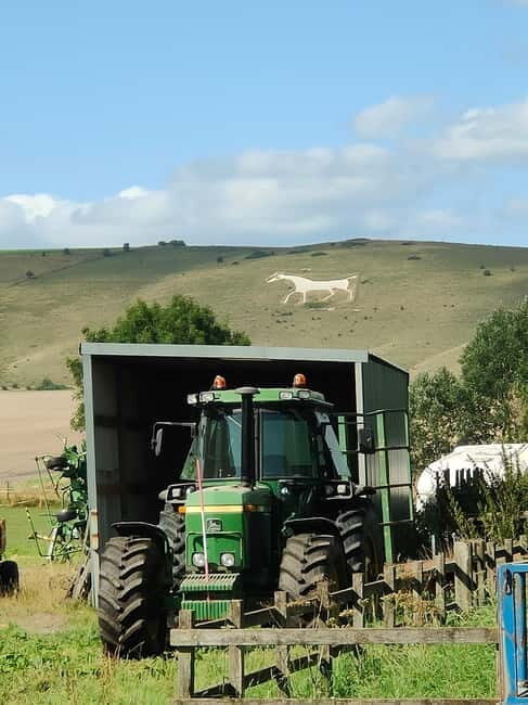 Wiltshire: Mystical and Dragons Guided Driving Tour - The Sum Up