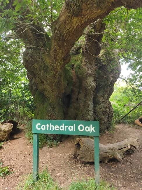 Wiltshire: Mystical and Dragons Guided Driving Tour - FAQ