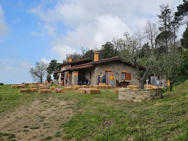 Win near Florence lunch or dinner in a traditional Tuscan farmhouse - Is It Worth the Price?