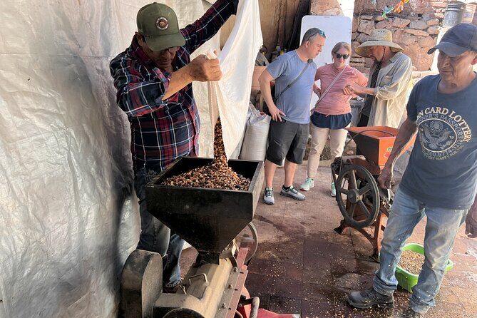 Wind TOUR: Mountains, Forests, Enigma Stones and Coffee Farms - Pricing and Value