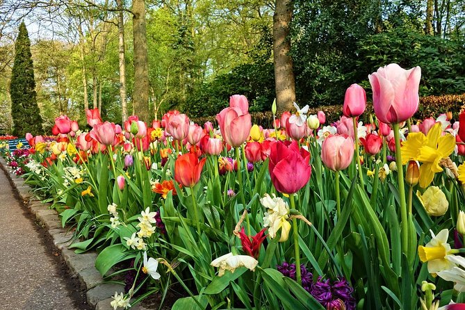 Windmills & Keukenhof Gardens and Tulip Fields Tour From Amsterdam - Cancellation Policy