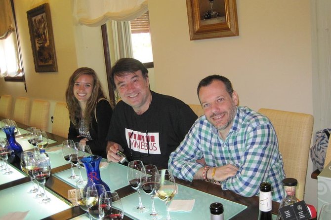 Windmills of Don Quixote Wine Tour From Madrid - Tour Overview