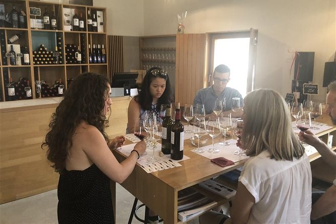Windmills of Don Quixote Wine Tour From Madrid - Details and Logistics