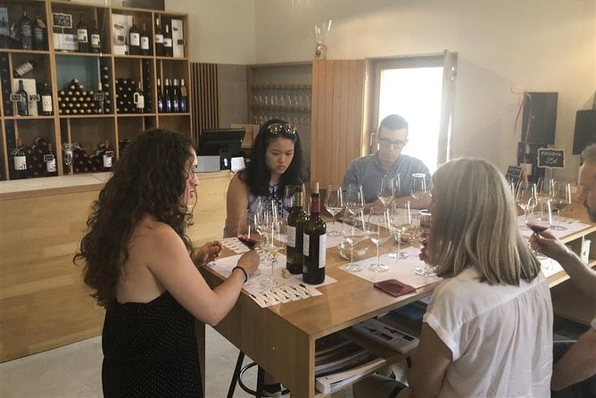 Windmills of Don Quixote Wine Tour From Madrid - Positive Feedback on the Guide