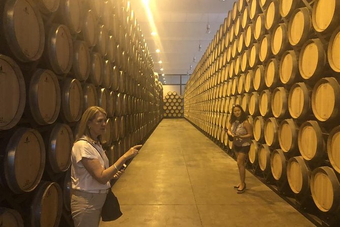 Windmills of Don Quixote Wine Tour From Madrid - Recommendations and Worthiness