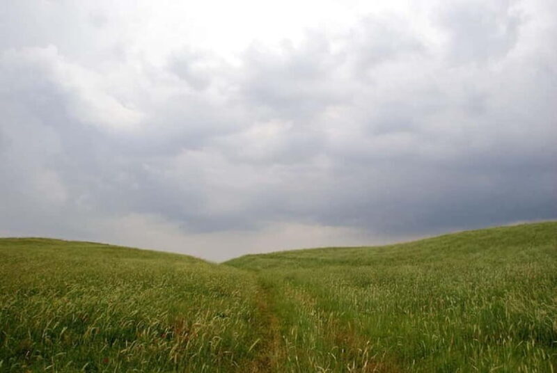 Windows Desktop Theme - Poppy Fields from Tashkent - Practical Tips for Making the Most of Your Trip