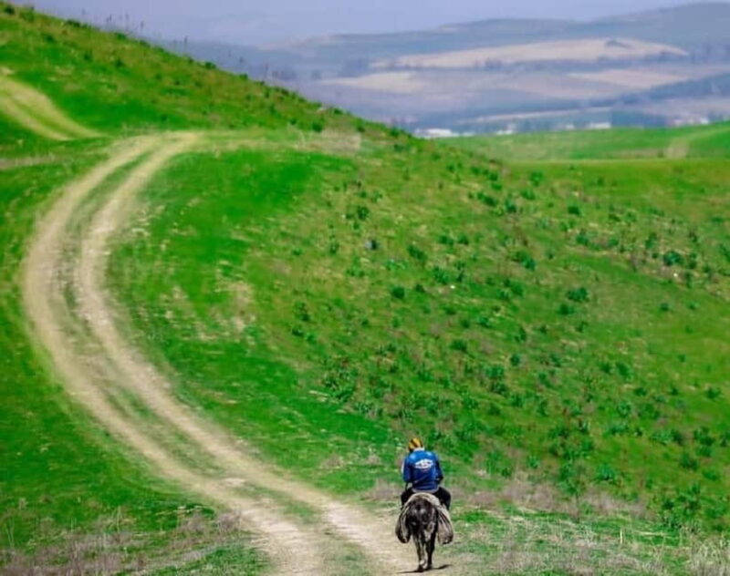Windows Desktop Theme - Poppy Fields from Tashkent - Who Should Consider This Tour?