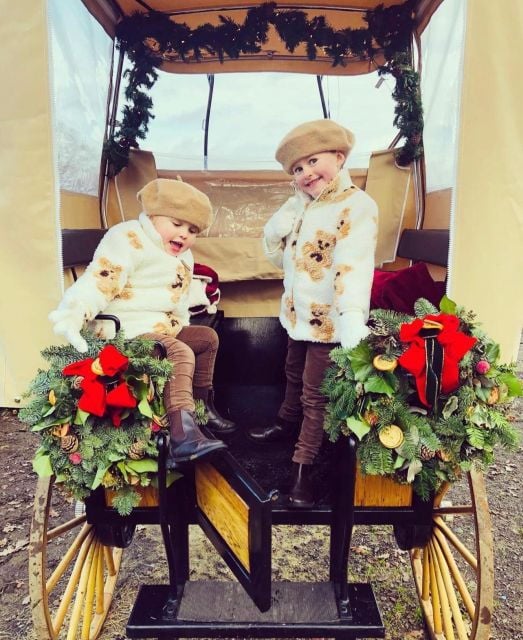 Windsor Castle: Heritage Horse Drawn Carriage Ride - Experience Highlights