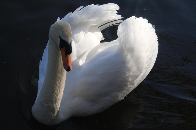 Windsor & Hampton Court : Private Driving One Day Tour With an Experienced Guide - Cancellation Policy