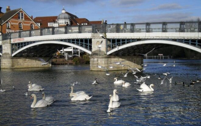 Windsor: Self-Guided City Walk & Interactive Treasure Hunt - Highlights of the Self-Guided Walking Tour