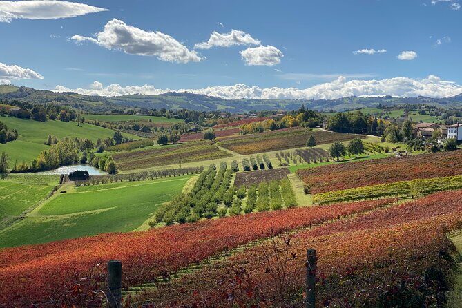 Wine and Balsamic Vinegar Tour with Tasting - FAQ