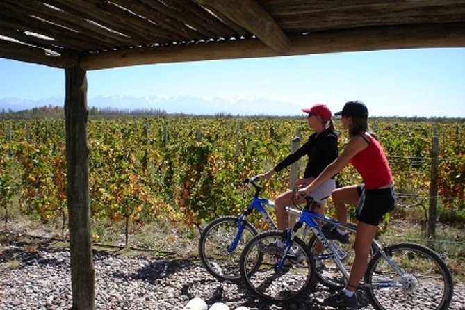 Wine and Bike Tour: Zuccardi Winery Adventure - Tour Overview