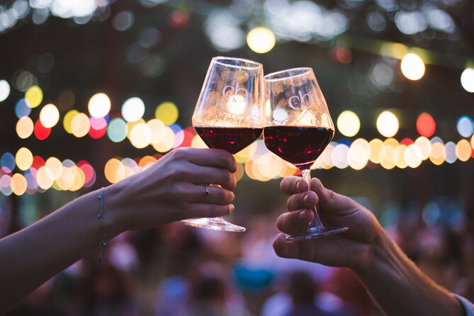 Wine and Charcuterie Cheese Tasting Tour in Boisset - Tour Highlights