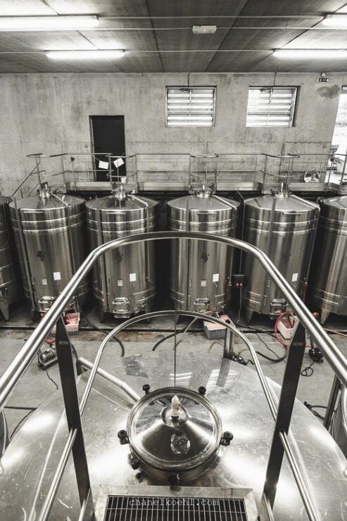 Wine and Cheese Experience - Key Points