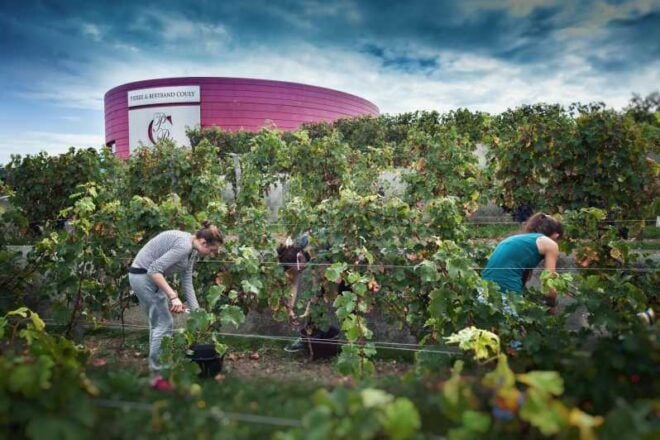 Wine and Cheese Experience - Booking Your Experience