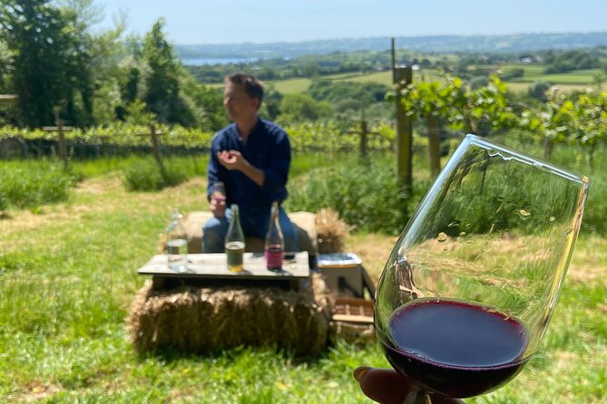 Wine and Cheese Tasting Tour in Cheddar Valley - Tasting Experiences