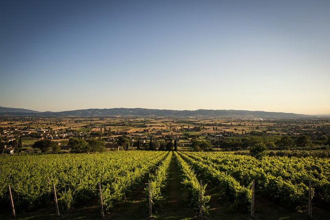 Wine and Cheeses - Wine and Cheese Recommendations