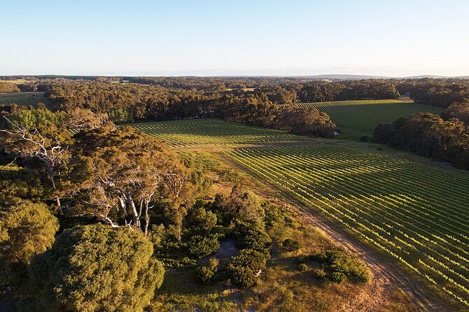 Wine and Chocolate Bonbon Tasting in Margaret River - Accessibility: Wheelchair and Stroller Friendly Venue