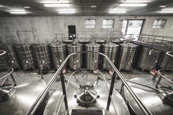 Wine and Chocolate Experience - Tips for an Enjoyable Experience