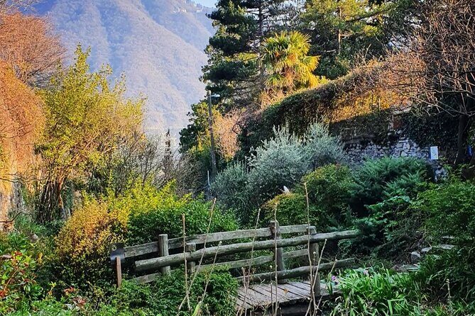 Wine and Culture on the Lake: An Italian Experience in Como - Exploring the Experience in Detail