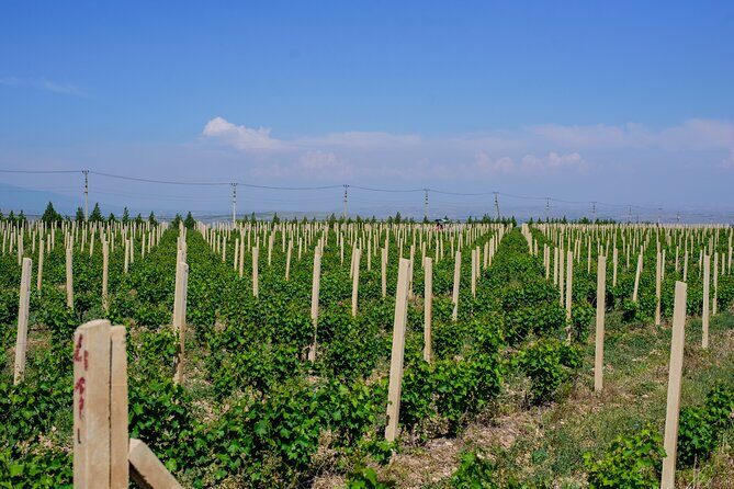 Wine and Dine at ArmAs Winery - Final Thoughts