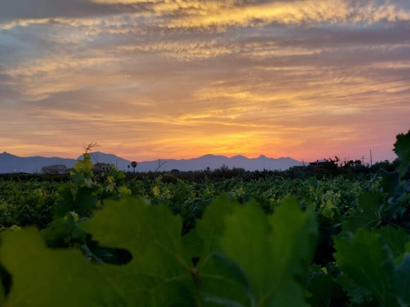 Wine and food at sunset - Good To Know