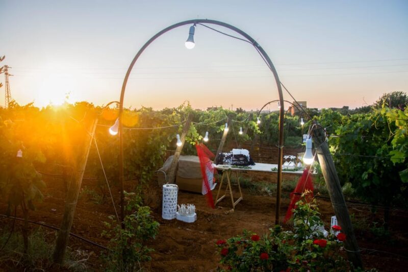 Wine and food at sunset - An In-Depth Look at the Experience