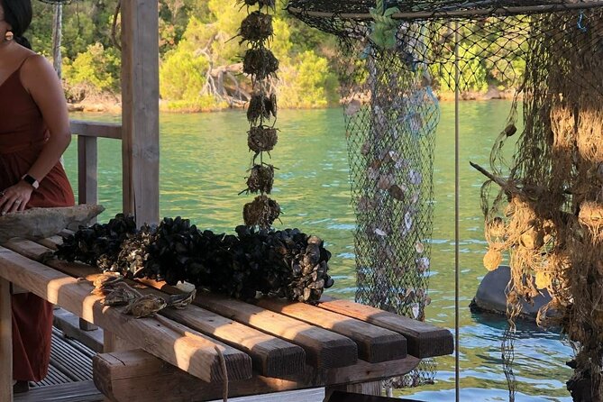 Wine and Food Daily Tour - Cancellation Policy and Price