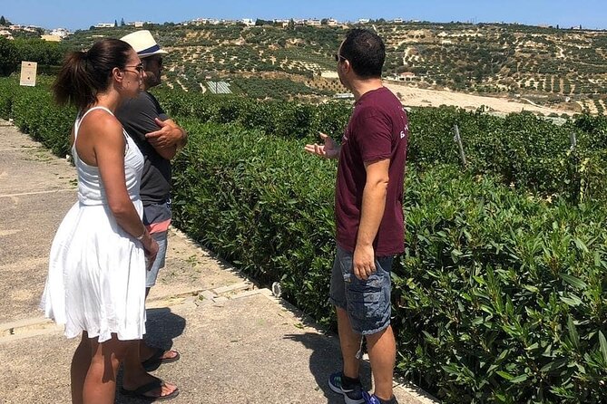 Wine and Food of Crete, Heraklion - Food Pairing Experiences