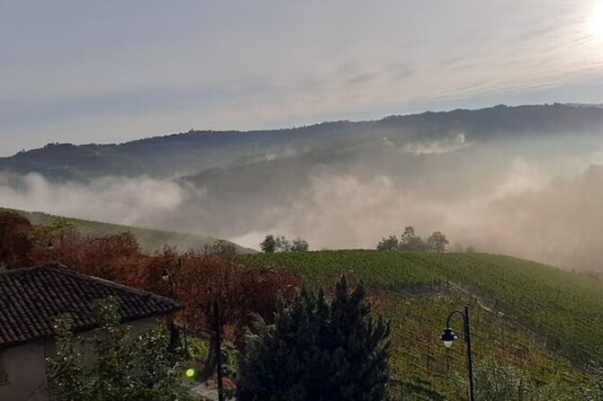 Wine and Food Pairing at La Morra Winery in Langhe - The Sum Up