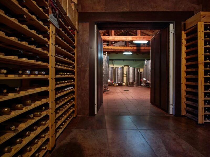 Wine and Food Pairing Tasting The Two Old Ones - Artisan Winery Segovia - Good To Know