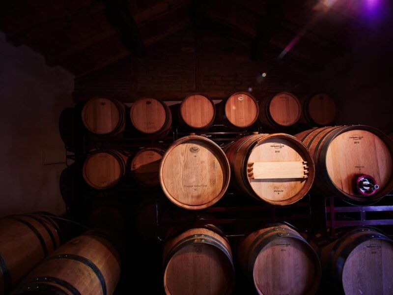 Wine and Food Pairing Tasting The Two Old Ones - Artisan Winery Segovia - The Wine Tasting Experience