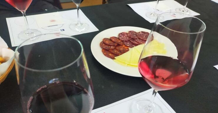 Wine and Food Tasting in Madrid: Tour - Itinerary and Activities