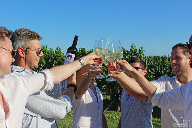 Wine and Food Tasting in the Vineyards in Lazise - Overview of Wine and Food Experience