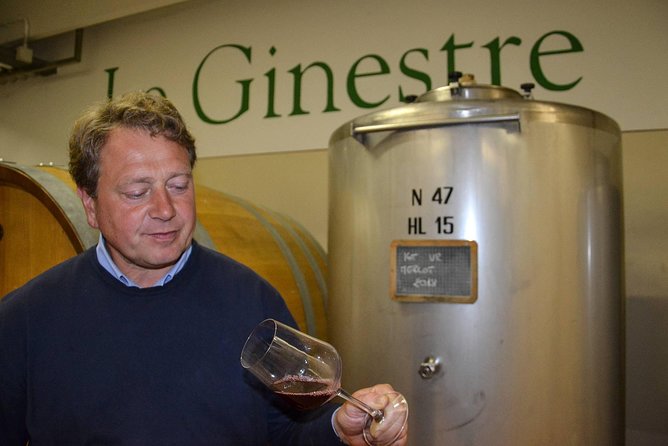 Wine and Food Tasting in the Vineyards in Lazise - Review Highlights and Memorable Experiences